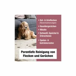 Bio-Chem Geruchs- Und Fleckenentferner 750 Ml Mit Spr&uuml;hkopf -SRAM Verkäufe bio chem geruchs und fleckenentferner 750 ml mit spruehkopf4