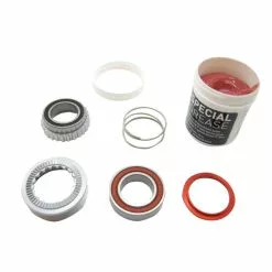 Dt-swiss DT Swiss Ratchet Kit 54T 180 EXP W. Bearing